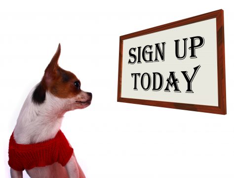 Sign Up Today Sign Shows Registration For Dog Website