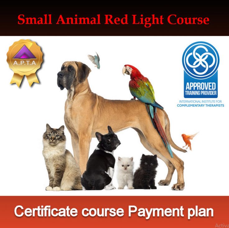 Small Animals Certificate Course: 5 month Payment plan