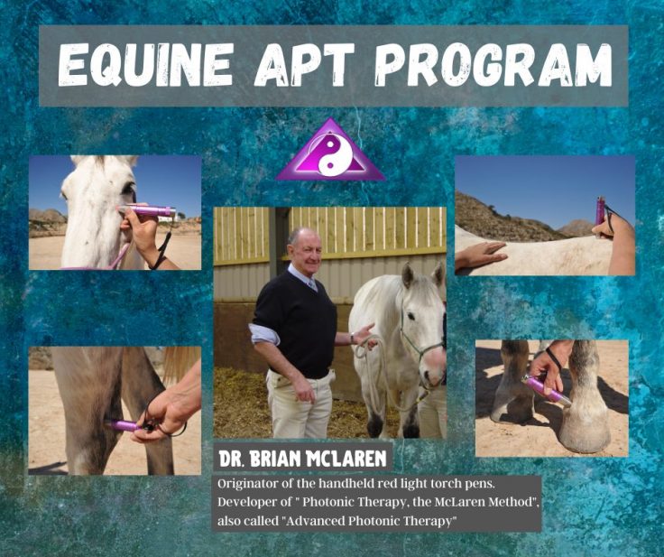 Equine A.P.T. Program
