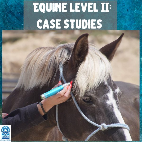 Equine Level II: Case Studies
