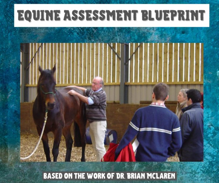 Equine Assessment DIY