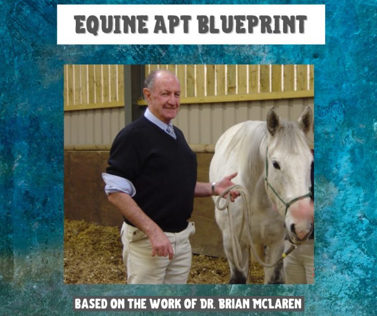 Equine APT Blueprint DIY
