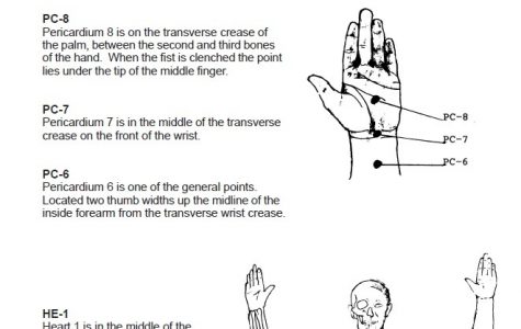 Info Booklets People