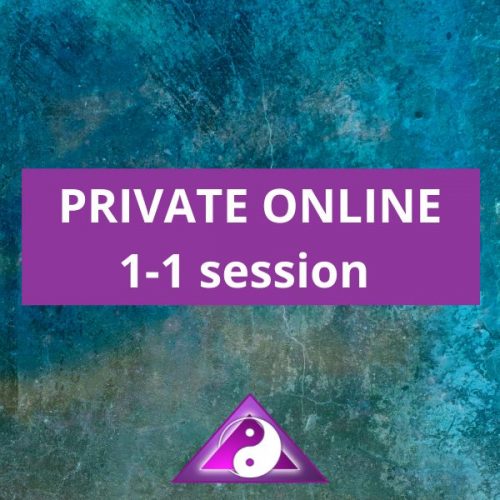 Online 1-1 Session