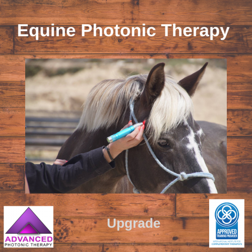 Equine Upgrade