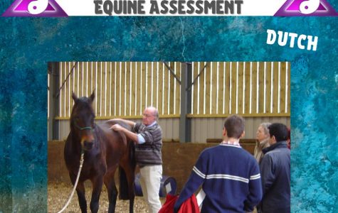 DWY Equine Assessment DUTCH