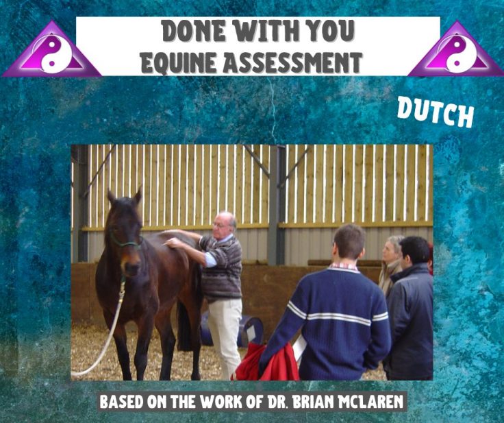 Equine Assessment Blueprint DWY in DUTCH