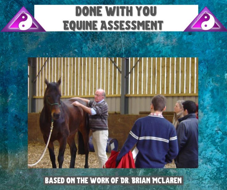 Equine Assessment D.W.Y. Blueprint