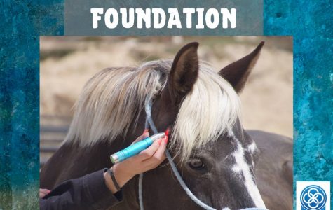 Level I Equine: Foundation