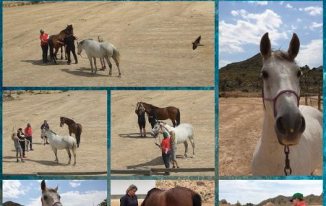 Levels Practical Spain