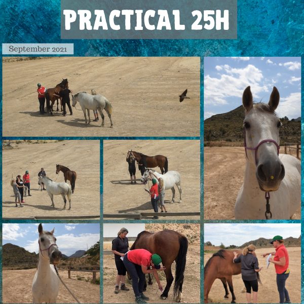 Equine Levels Practical Spain