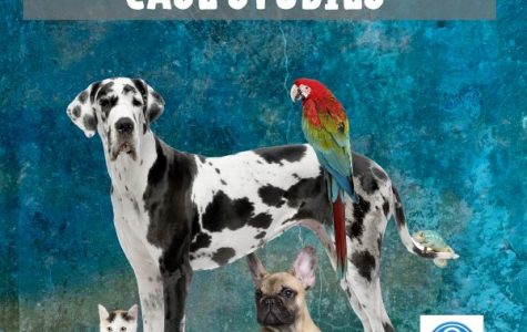 Level II S.A.: Case Studies