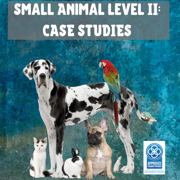 S.A. Level II: Case Studies