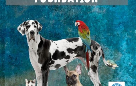 Level I S.A.: Payment plan