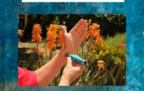 DIY People APT Blueprint