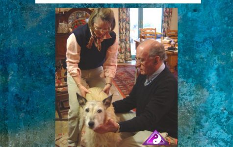 DIY Dog APT Blueprint