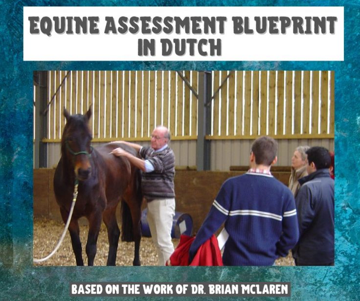Equine Assessment in DUTCH