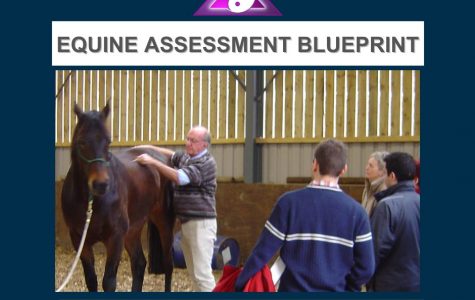 DIY Equine Assessment