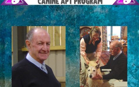 DWY Dog APT Blueprint