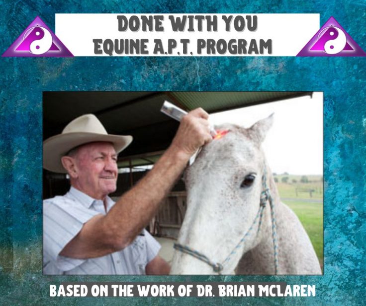 Equine A.P.T. DWY Program