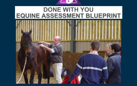 DWY Equine Assessment