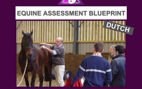 DIY Equine Assessment DUTCH