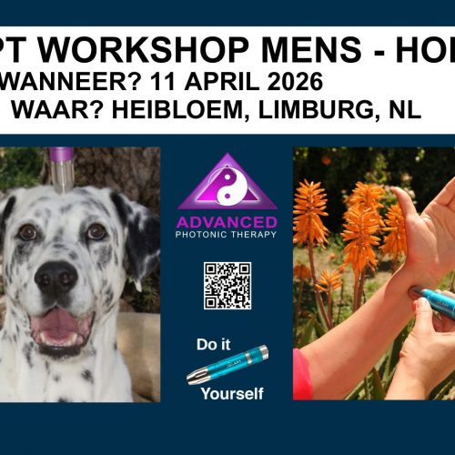 Mens - Hond workshop in Heibloem, NL