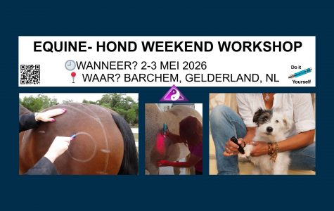Equine en Hond Weekend workshop, Barchem, NL
