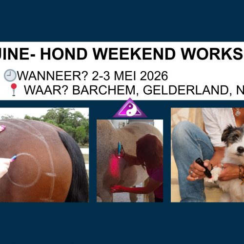 Equine en Hond Weekend workshop, Barchem, NL